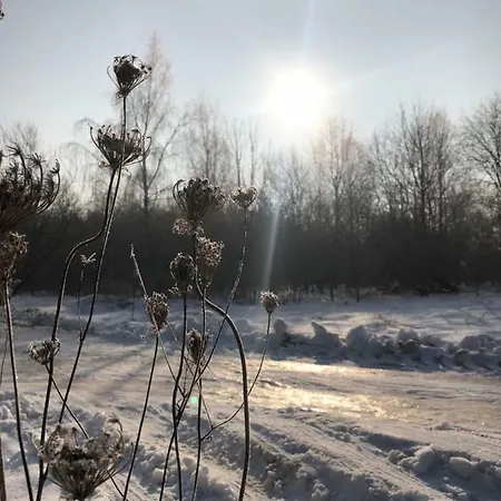 펜션 Niewinne - Chianti Żywiec